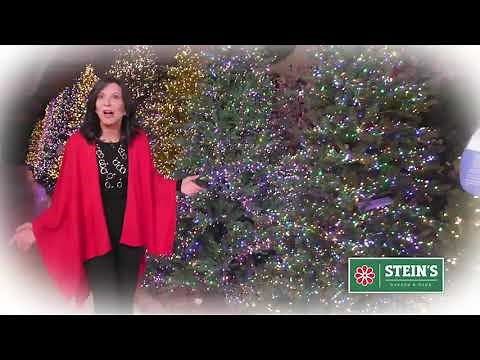 Stein's Garden & Home - Christmas Treeland