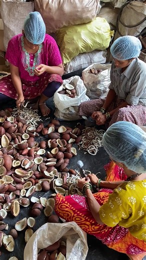 100% Pure Coconut Oil Extraction Process inside the factory | Indian Factory Club