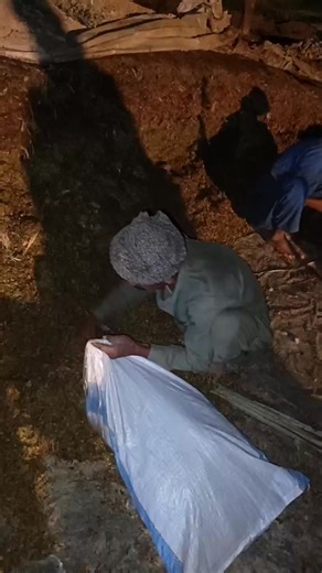 1.8K views · 25 reactions | Silage Packing Start Day &Night You Can Also Orders For Silage Purchasing @Punjab Land Farms | Punjab Land Farms | Facebook