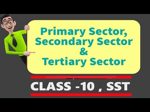 Explain the difference between primary, secondary and tertiary sectors using examples.