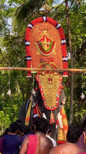 ശിവദതിന്റെ ദാസപ്പൻ 💥❤️ #shorts #aanakkotta #raman #karnan #kerala #pooram #elephant #youtubeshorts