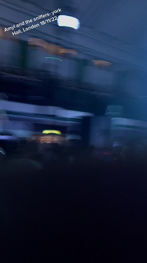 Amyl and the Sniffers Live at York Hall, London