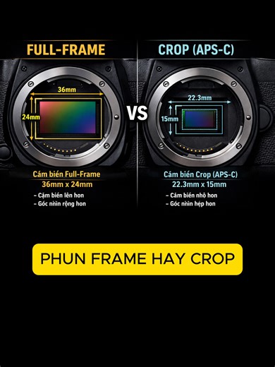 Capturing the Beauty of Full Frame Hay Crops