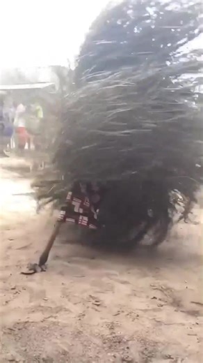 africa demon in voodoo Religion #demon #african #voodoo #fyp #foryou #fypシ