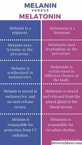 Precursor A y Precursor De - GRAMáTICA 2026