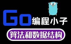 【golang教程】go语言算法和数据结构，编程小子带你仔细解读，全网最详细教程，从入门到进阶