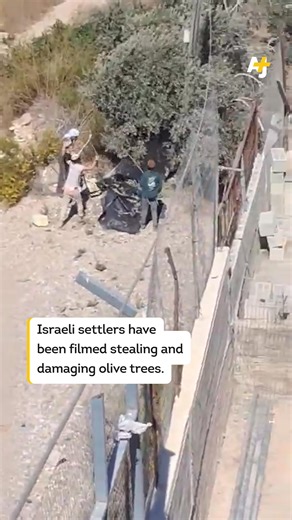 63K views · 3.2K reactions | In just one week, there were over 70 attacks on Palestinians by Israeli settlers in the occupied West Bank. This little girl was wounded by settlers on her way to school. | AJ+ | Facebook