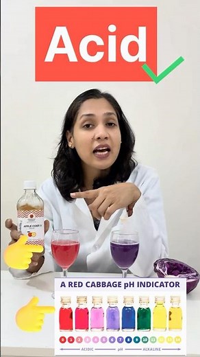 Acid Base Test on Apple cider vinegar | Science Experiment