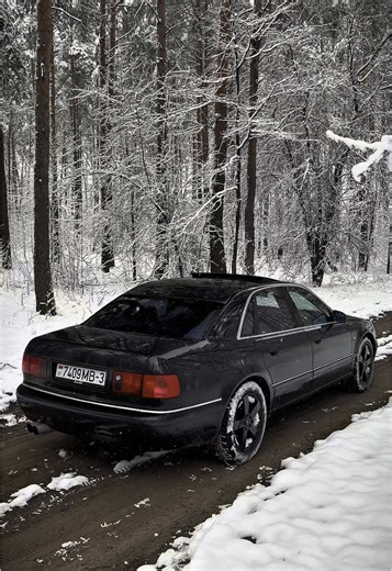 Audi Quattro Power: Performance of A8 and S8