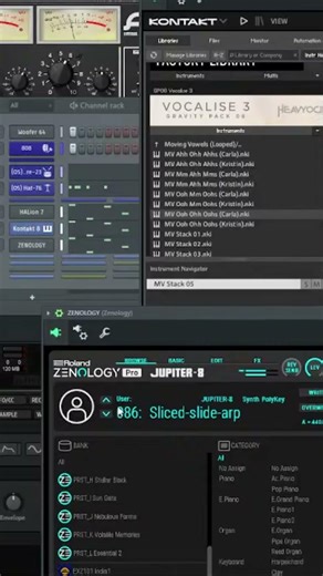 Roland Jupiter Zenology Expansion , clip it!
