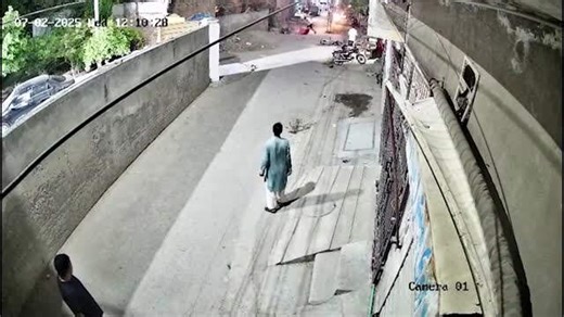 Pet lion escapes and attacks a woman and two children in the street