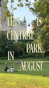 131K views · 21K reactions | scenes from this past week in central...