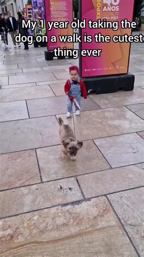 Best funny baby video compilation 2023 part 47 #goviral #viral #viral #fyp #tiktok #goviral #go #foryoupage #foryou #xyzbca #fypシ #tiktok #baby #funny #funnybaby #funnybabyvideos #funnybabies #funnybabiesoftiktok #funnybabytiktok #funnybaby365 #cutebabyvideos #dancingbaby #babyanddog #babylaughing