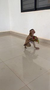 The Monkeys Love Eating Timee #funnyanimals #reelsfb #funny #shorts #monkey #reelsviral #thebestfunny #Monkeyreels #videosfunny #babylove | Monkey Fans