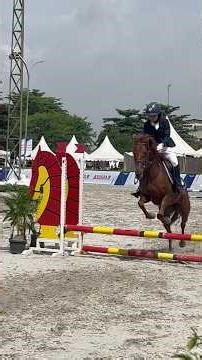 jumping class open 50 cm Hub Equestrian Championship 2026 #equestrian #equestrianjourney