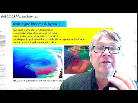 Lecture 7-1 Slides 17+18