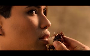 The Alien Fruit in Netflix’s ‘Another Life’ Is Actually Just a Rambutan