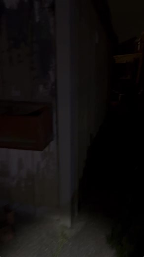 Our neighbour knocked on our door and told us that they heard noises of stuff being moved about in our garage and they thought someone had broken in. With mum still at work and Kay's feeling ill, Dad had to venture out and investigate. Dad filmed the whole thing since we've had many odd occurrences before in the garage. He caught strange lights, odd chattering noises, stuff being thrown about, stuff being shaken and to top it all off, what Dad thinks is the face of an alien! A Grey alien he said