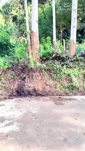 Ramu Kurmi (@ramu.kurmi8)’s videos with original sound - Ramu Kurmi