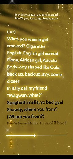 spotify_playlist on TikTok