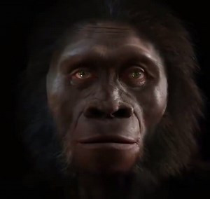 111K views · 33 reactions | 6 Million Years Of Human Evolution h/t Yale University Press | HuffPost UK Shopping | Facebook