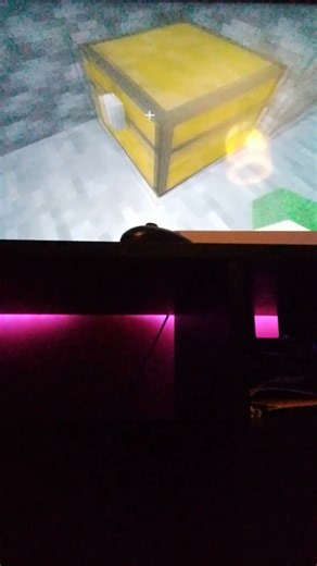 Minecraft survival world