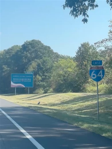 The Marion Jones on Reels