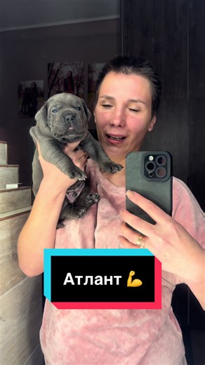 Відео користувача Infinity Glory 🇺🇦 (@infinity_glory_family) з композицією «Married Life - Michael Giacchino»