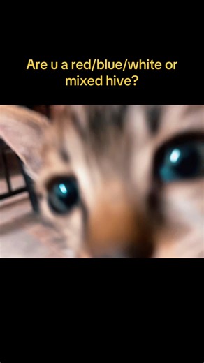 Understanding Bee Hives in Roblox Bee Swarm Simulator