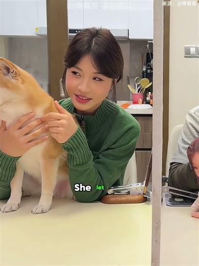 The dog's reveal broke everyone after guessing the liar.#shorts