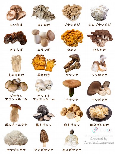 キノコの名前 - 日本語で学ぼう