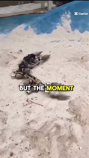 Whats Even The Point of This Thing?