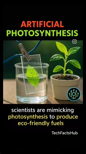 Artificial photosynthesis #futurescience #scienceexplained #shorts