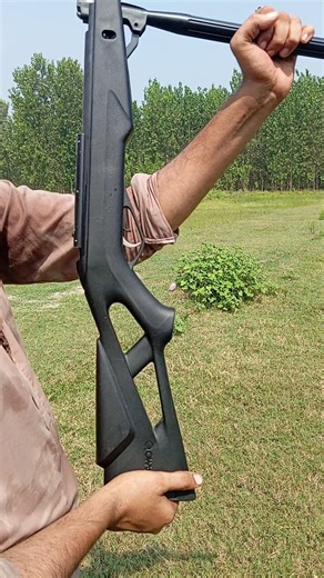 Air Gun Target Mastery Bullseye Every Time Shooting Straight The Ultimate Air Gun Challenge