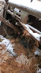 4.4K views · 27 reactions | A closeup of the Old Abandoned Car found in the Woods. #abandoned #abandonedplaces #secret #mysterious #hidden | A House with History | Facebook