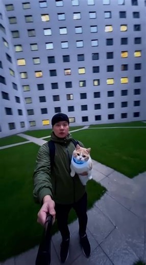 后室VLOG第22集，Level881 百窗庭极限逃生! 家人们，我是海洋，带猫闯后室。这次打卡了传说中的百窗庭，无限白墙、诡异房门、暗处的窗户…关注我，下期解锁更多后室秘境！#后室 #backrooms #梦核 #AI创作浪潮计划 #vlog
