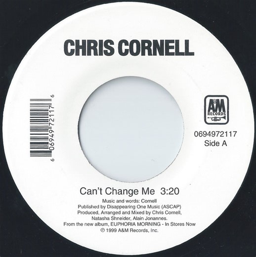 Chris Cornell - Can't Change Me