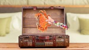 Se juntas já causa, imagina juntas!😲 A mLabs tá in love ❤ com essa parceria com a Resultados Digitais. Tanto que tá colocando o pé na estrada para o RD On The Road 👊. Cola lá para bater um papo com a gente! Ah, e aproveite: use o cupom MLABS e ganhe 25% de desconto.☺ Para saber mais, acesse: http://bit.ly/mlabsONTHEROAD #PartiuBondeMlabs | mLabs