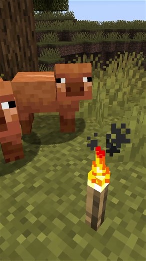 The Warm Biome Pigs in Minecraft Look Best