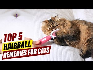 Cat Hairballs: 5 Home Remedies That Actually Work