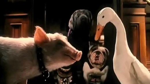 Babe - O Porquinho Atrapalhado na Cidade Trailer Original