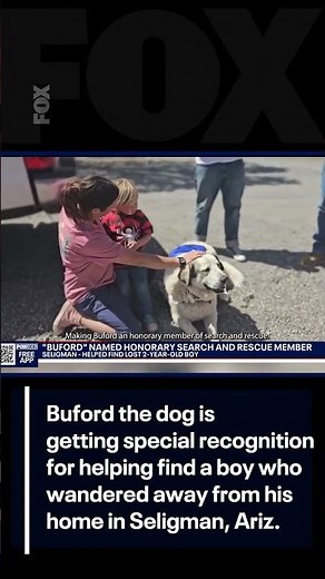 Yavapai County recognizes Buford the dog | FOX 10 Phoenix