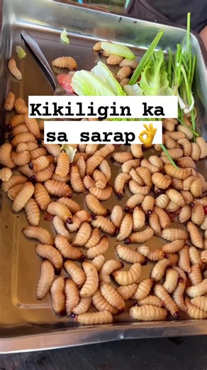 3.4K views · 56 reactions | Coconut worms are edible source of protein  #Coconutworm #larvae #proteinfood #recipeideas #reelsvideoシfypシ゚viralシfypシ゚ | Menette M Dizo | Facebook