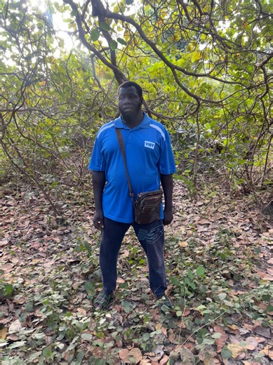Traditional Knowledge, Natural Care In this video, Mr. Adama explains the benefits of a powerful local leaf known as “Shan Fitto.” This herbal plant is traditionally used to help treat Daino and support overall body wellness. He clearly demonstrates how Shan Fitto is boiled, prepared, and used, while highlighting its importance to the body and its role in strengthening natural healing through local medicine. At Adama Herbal Clinic, we continue to educate and guide our community using trusted her