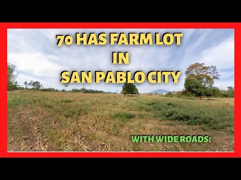 70 has Farm Land in San Pablo City for Sale (Lot Code: 2317)