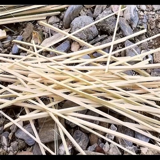Building a Safe Bamboo Home Under a Bridge for Her Daughter Single Mother’s Bamboo Building Journey | LT tivi