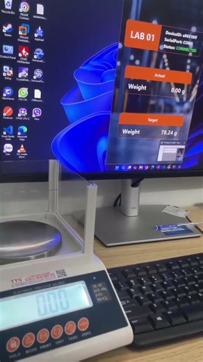 Real-Time RS232 Scale Data Sync Demo #rs232 #modbus #real-time