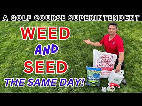 Weed Elimination & Lawn Seeding Tips: How To Fix Your Lawn This Spring