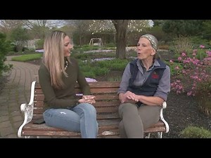 Check out these gardens you can visit for free on National Public Gardens Day