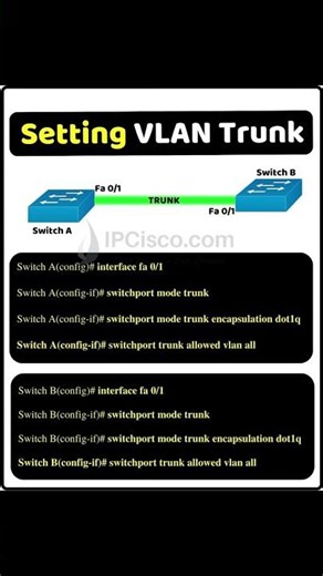 SETTING VLAN TRUNKS!!✨✨